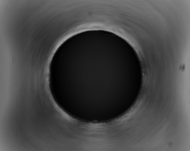 X0000103131527200808291304