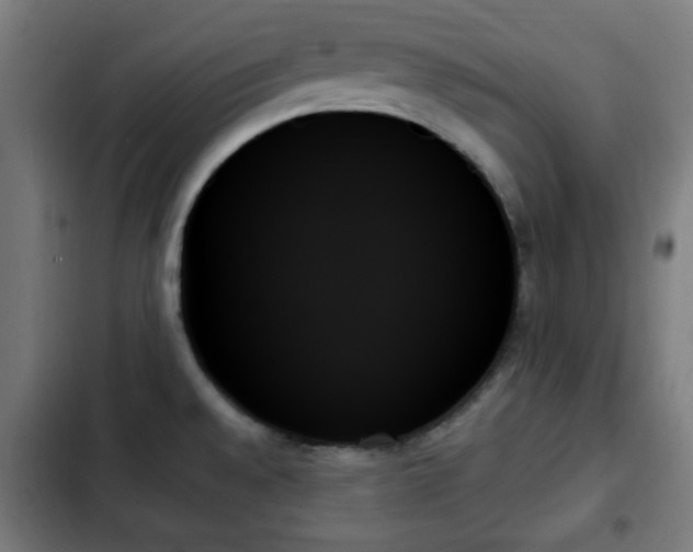 X0000103131528200808291304
