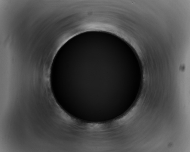 X0000103131529200808291304