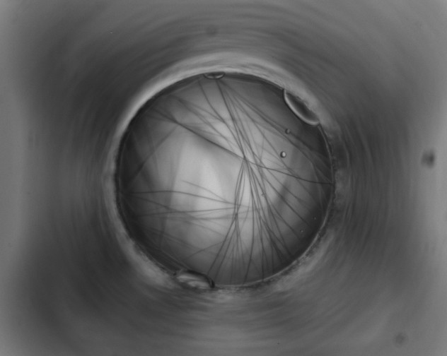 X0000103131530200808291304