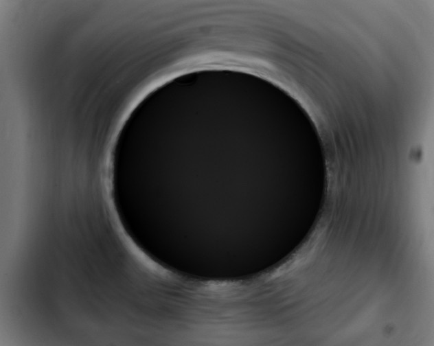 X0000103131531200808291304