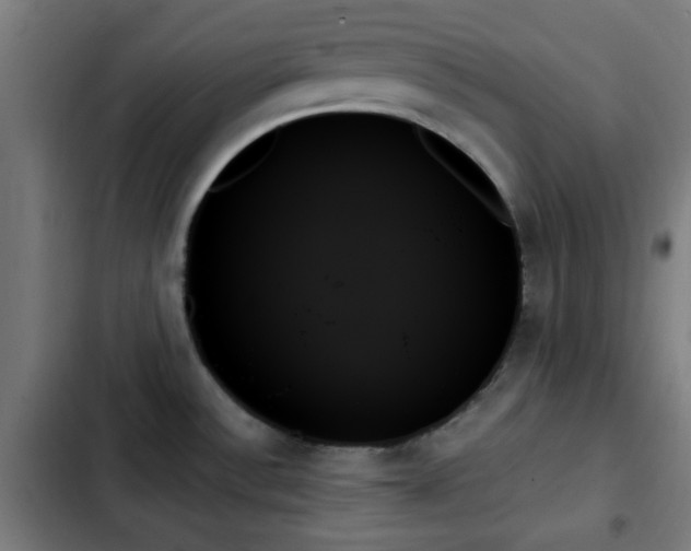 X0000103131532200808291304