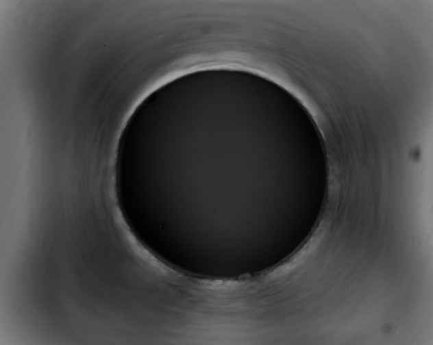 X0000103131534200808291304