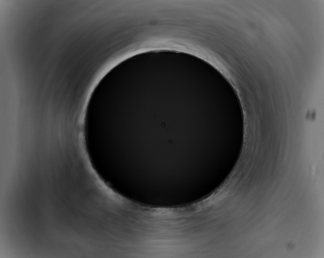 X0000103131536200808291304