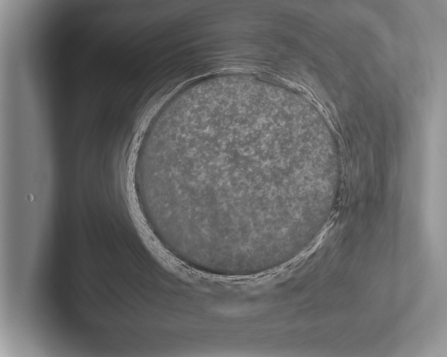 X0000103130001200809051619