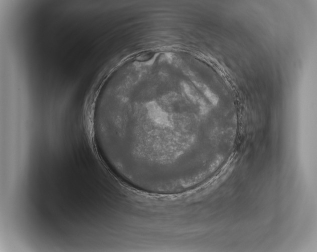 X0000103130002200809051619