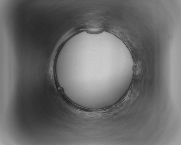 X0000103130004200809051619