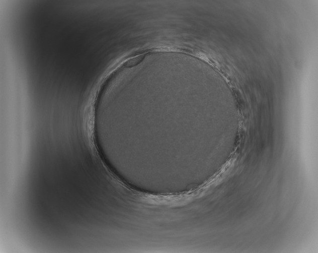 X0000103130005200809051619