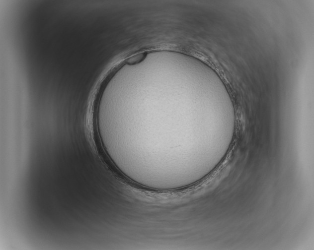 X0000103130006200809051619