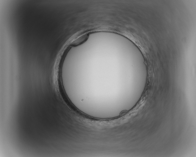 X0000103130007200809051619
