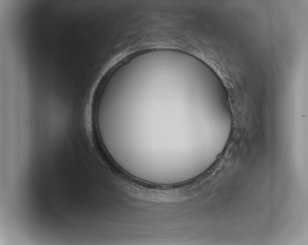 X0000103130008200809051619
