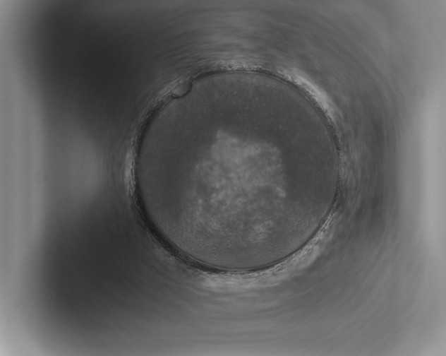 X0000103130009200809051619