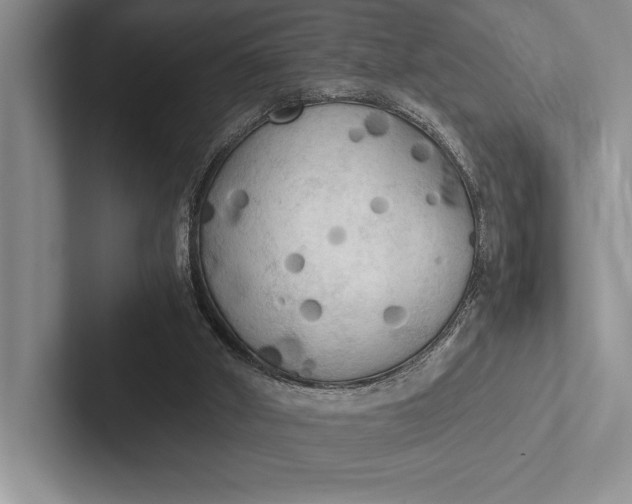 X0000103130010200809051619