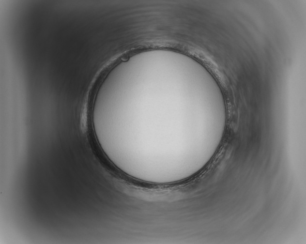 X0000103130012200809051619