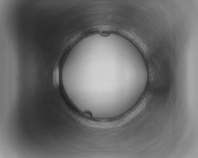 X0000103130014200809051619