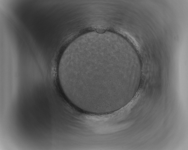 X0000103130017200809051619