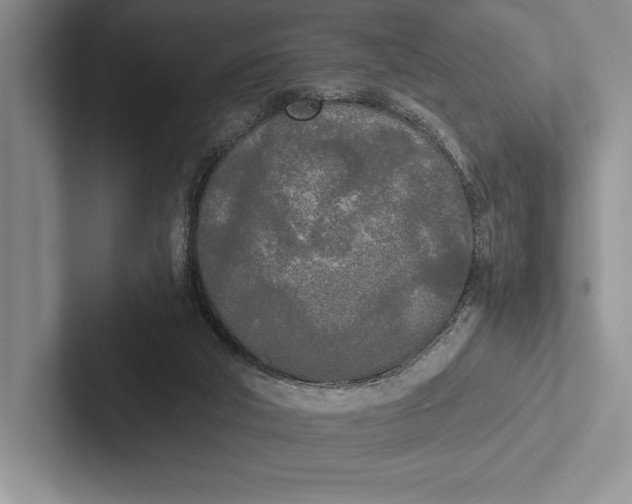X0000103130018200809051619
