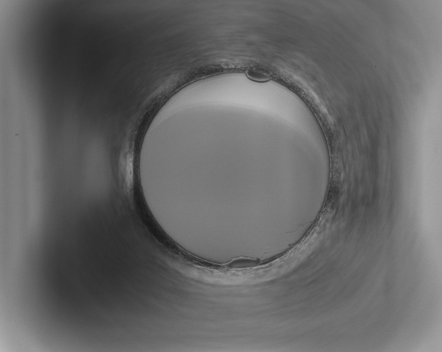 X0000103130019200809051619