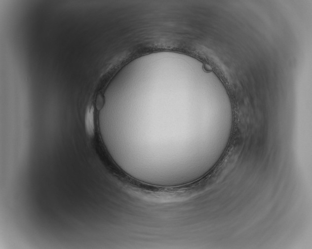 X0000103130020200809051619