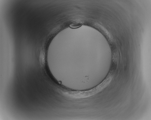 X0000103130023200809051619