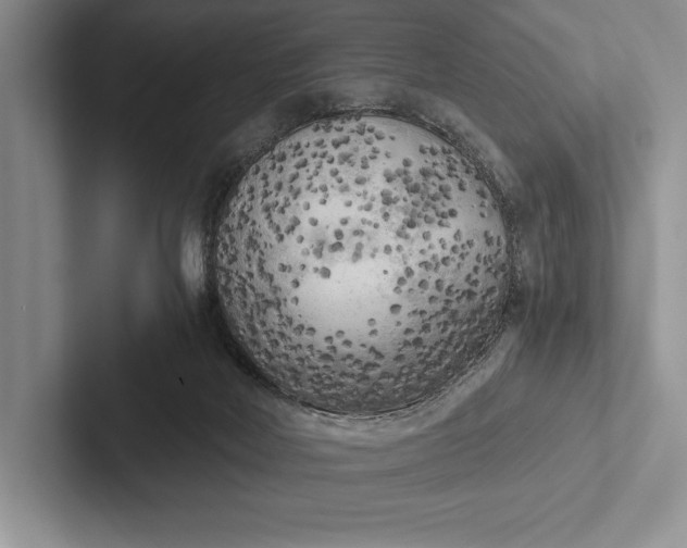 X0000103130026200809051619
