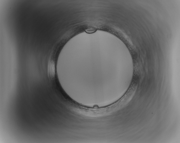 X0000103130027200809051619