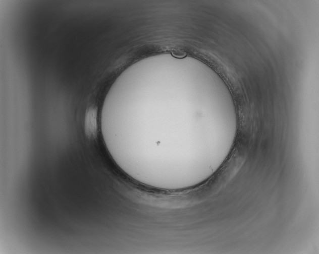 X0000103130028200809051619