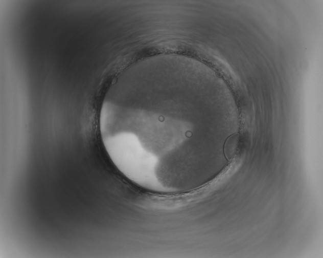 X0000103130029200809051619