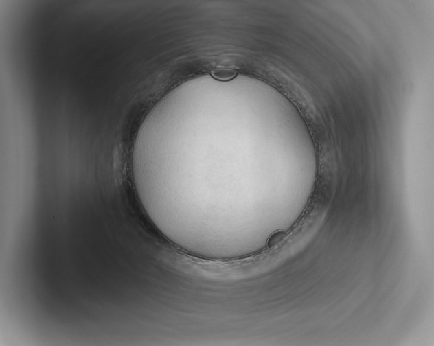 X0000103130030200809051619