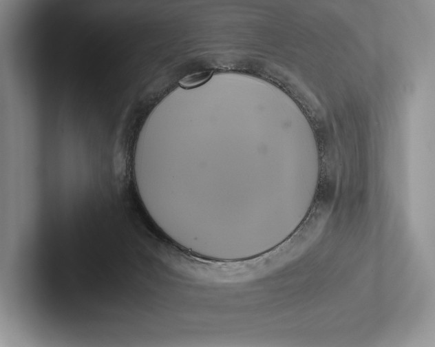 X0000103130031200809051619