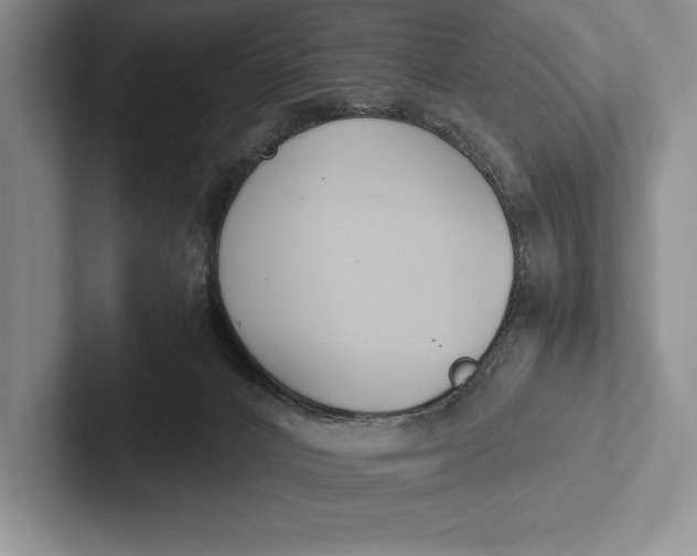 X0000103130032200809051619