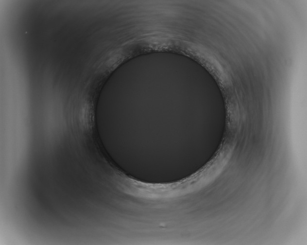 X0000103130034200809051619