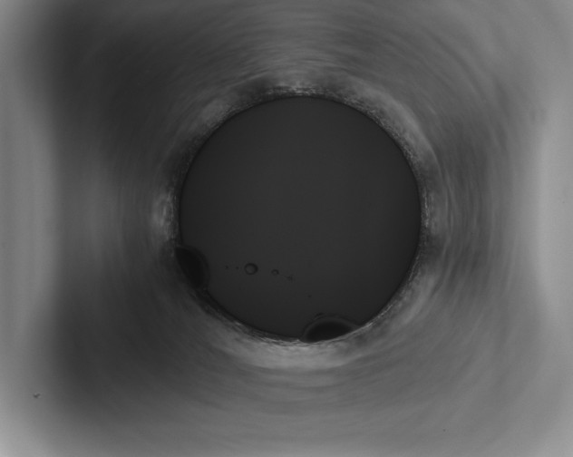 X0000103130036200809051619
