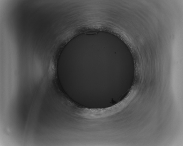 X0000103130037200809051619