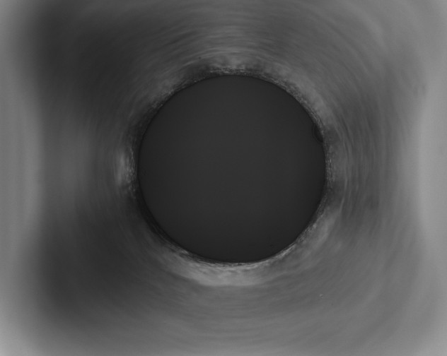 X0000103130040200809051619