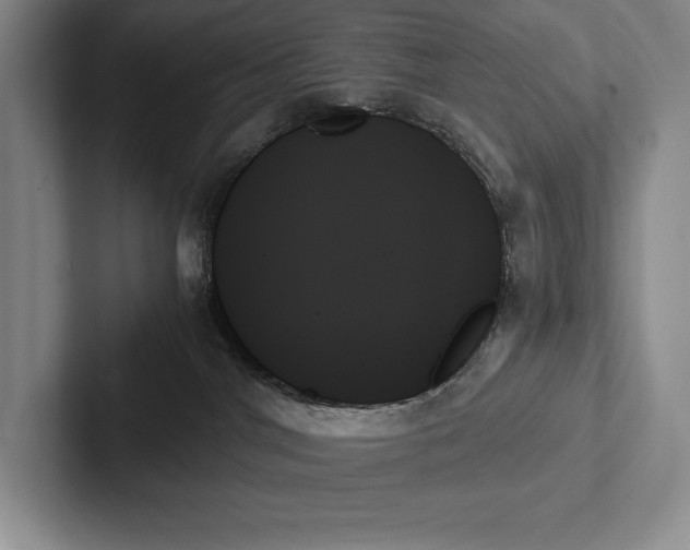 X0000103130044200809051619