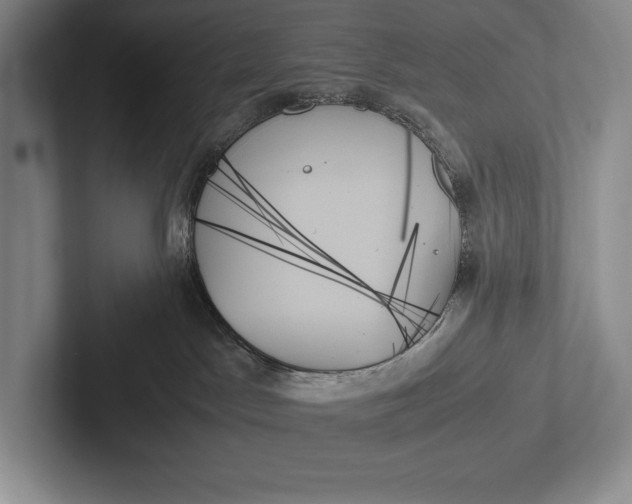 X0000103130045200809051619