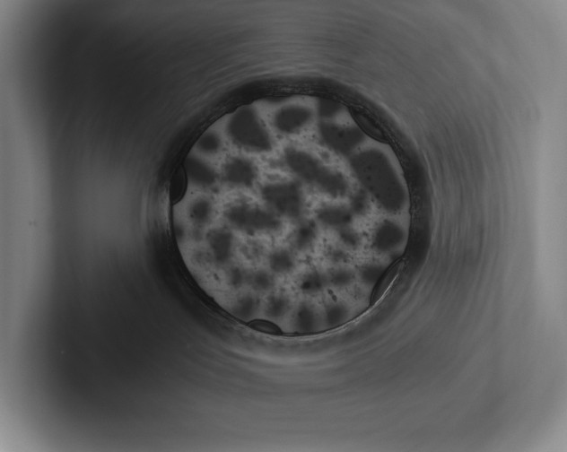 X0000103130047200809051619