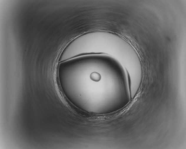 X0000103130049200809051618