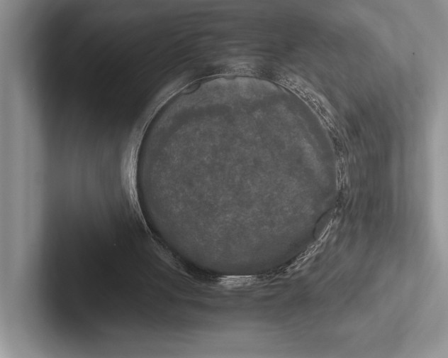 X0000103130051200809051618