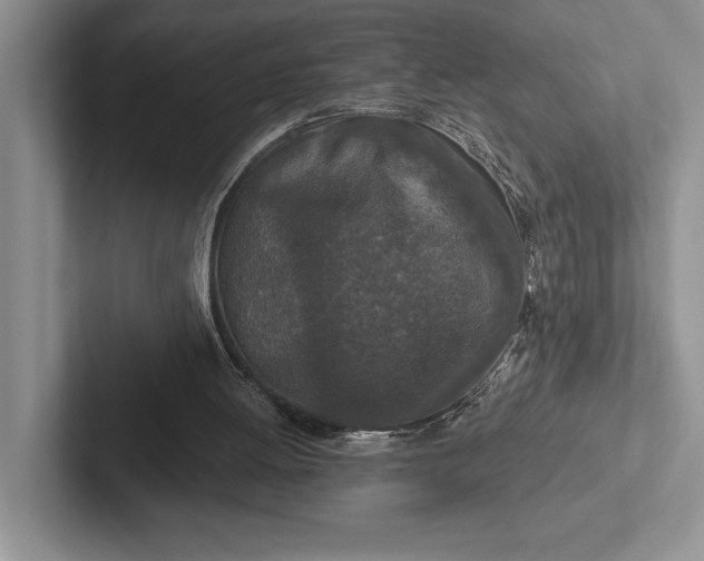 X0000103130052200809051618