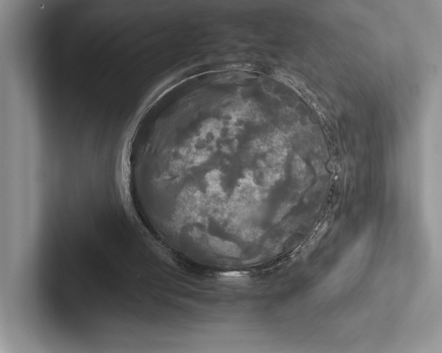 X0000103130053200809051618