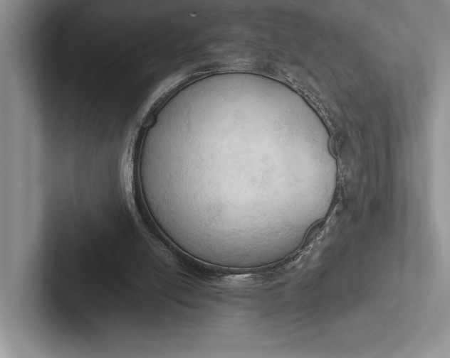 X0000103130054200809051618