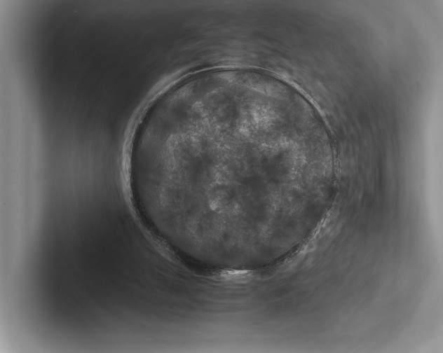 X0000103130055200809051618