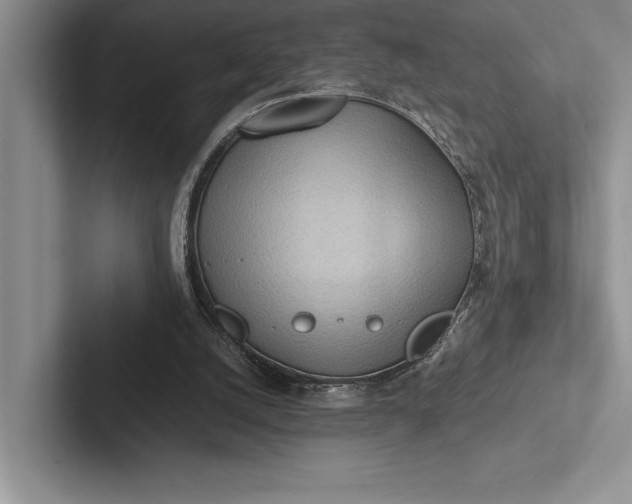 X0000103130056200809051618