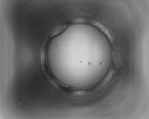 X0000103130057200809051618