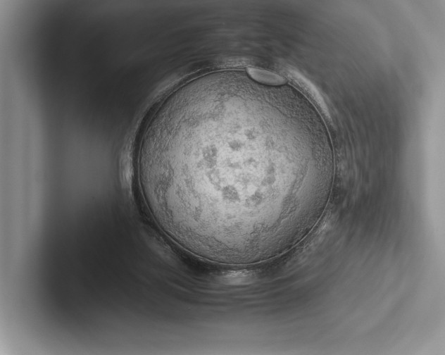X0000103130059200809051618