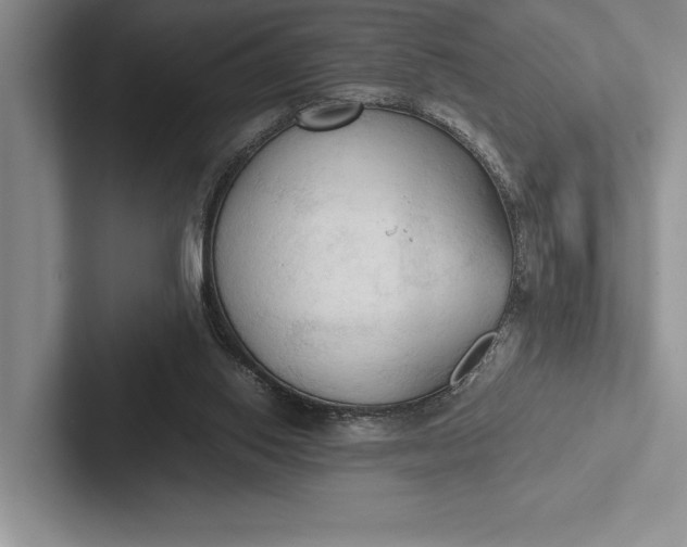 X0000103130062200809051618