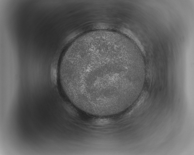 X0000103130063200809051618