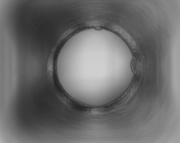 X0000103130064200809051618